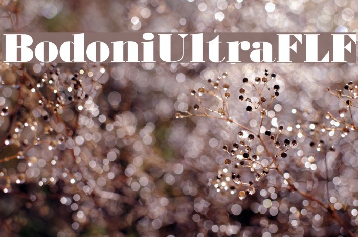 BodoniUltraFLF Font examples