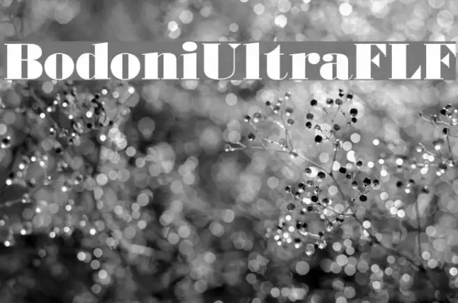 BodoniUltraFLF Example 3