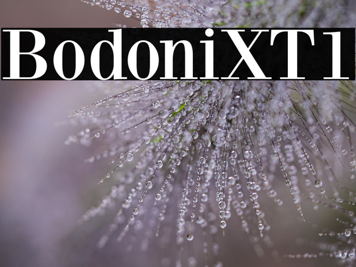BodoniXT1 Example 1
