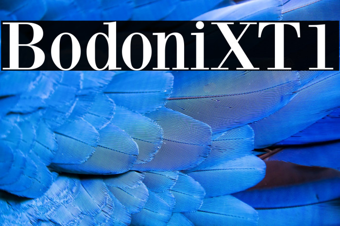 BodoniXT1 Example 2
