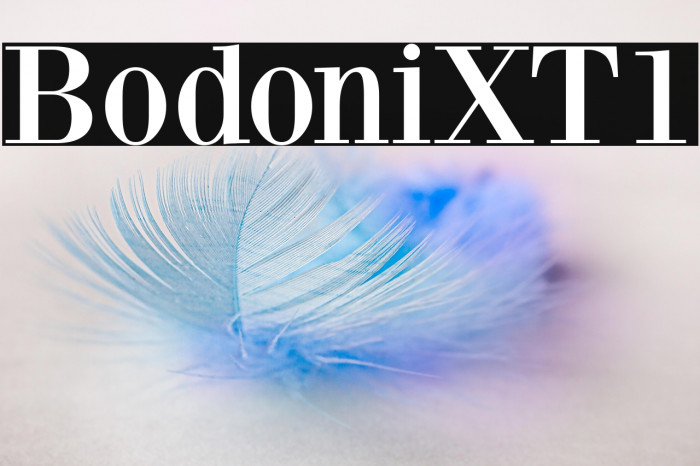 BodoniXT1 Example 3