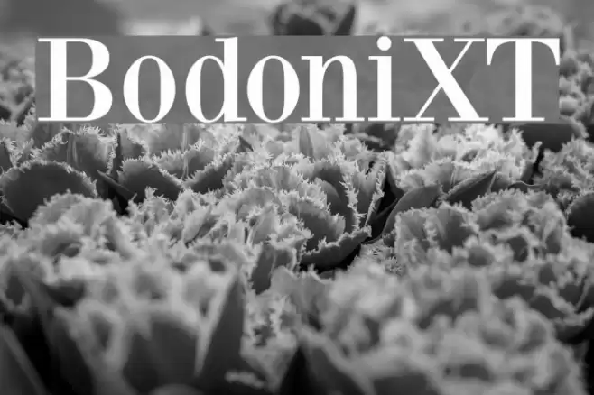 BodoniXT Font examples