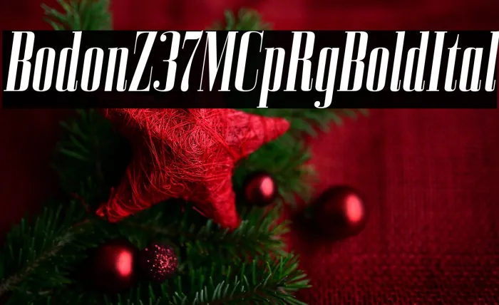 BodoniZ37MCpRg-BoldItalic Example 1