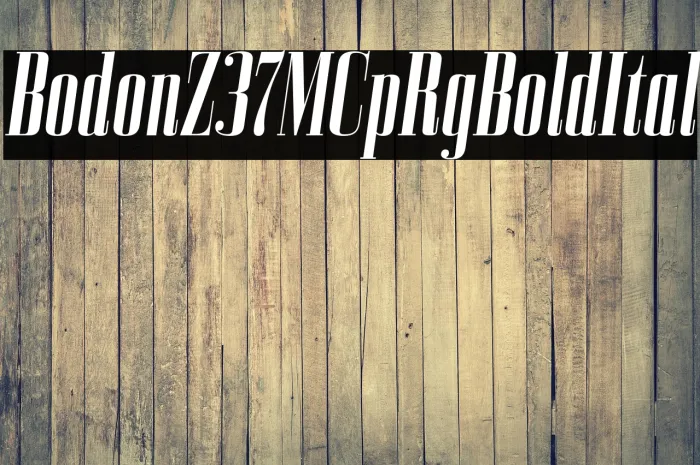 BodoniZ37MCpRg-BoldItalic Example 2