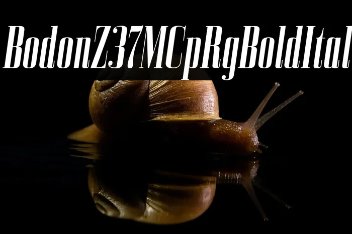 BodoniZ37MCpRg-BoldItalic Example 3