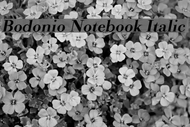 Bodonio Notebook Italic Font examples