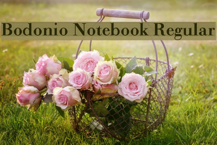 Bodonio Notebook Regular Font examples