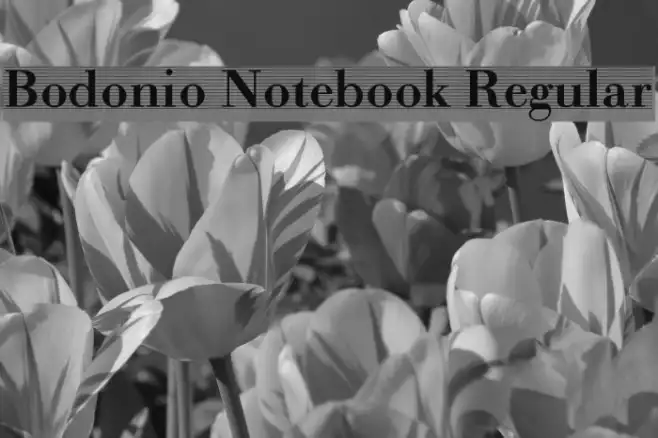Bodonio Notebook Regular Example 2