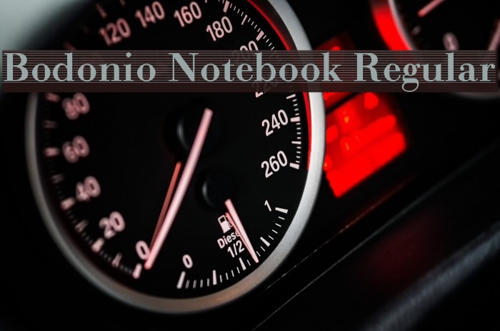 Bodonio Notebook Regular Font examples