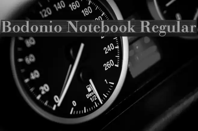 Bodonio Notebook Regular Example 3