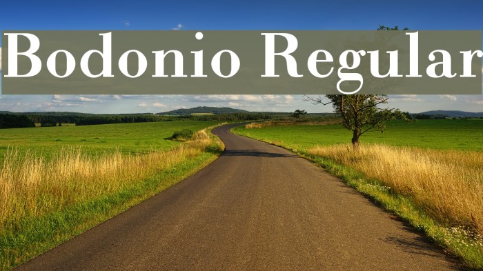 Bodonio Regular Font examples