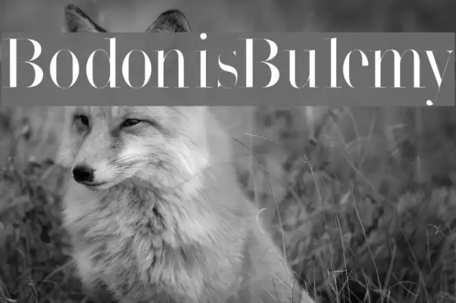 BodonisBulemy Example 3