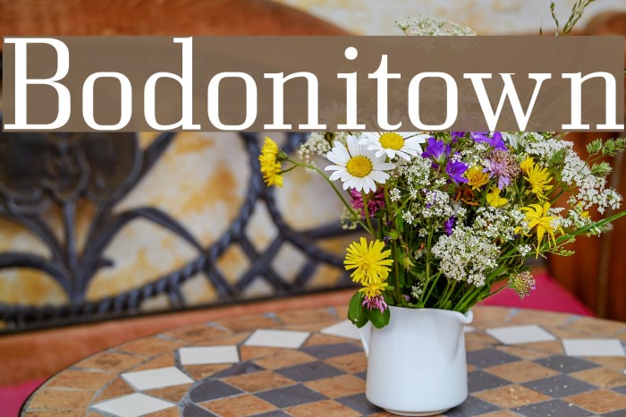 Bodonitown Font examples