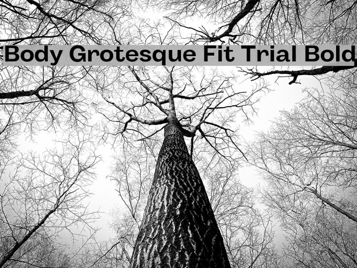 Body Grotesque Fit Trial Bold Font examples