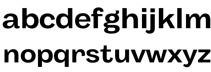 Body Grotesque Fit Trial Bold Font LOWERCASE