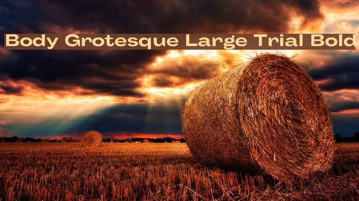 Body Grotesque Large Trial Bold Font examples