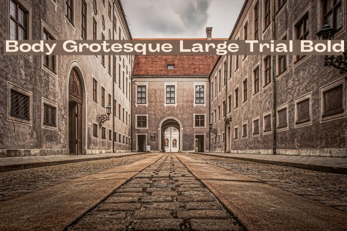 Body Grotesque Large Trial Bold Font examples