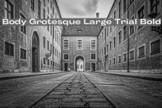 Body Grotesque Large Trial Bold Example 3
