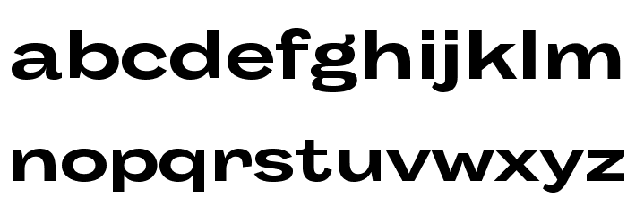 Body Grotesque Large Trial Bold Font LOWERCASE