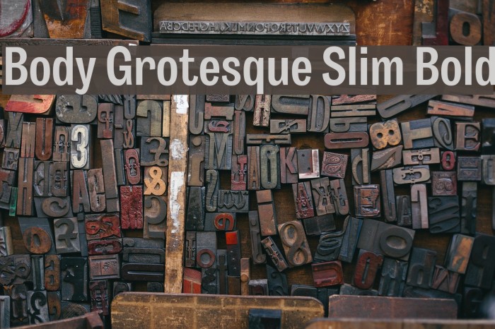 Body Grotesque Slim Bold Font examples