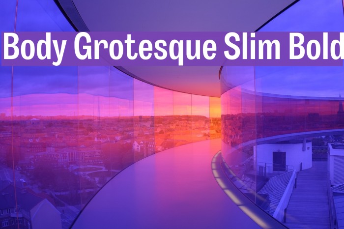 Body Grotesque Slim Bold Font examples