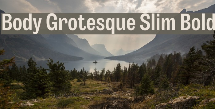 Body Grotesque Slim Bold Font examples