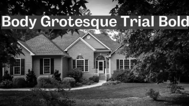 Body Grotesque Trial Bold Font examples