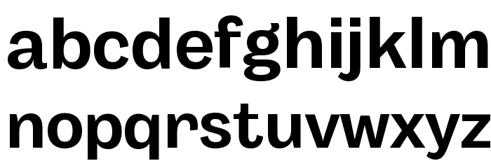 Body Grotesque Trial Bold Font LOWERCASE