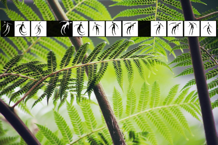 Body Moving Regular Example 1