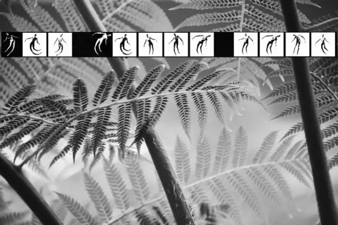 Body Moving Regular Font examples