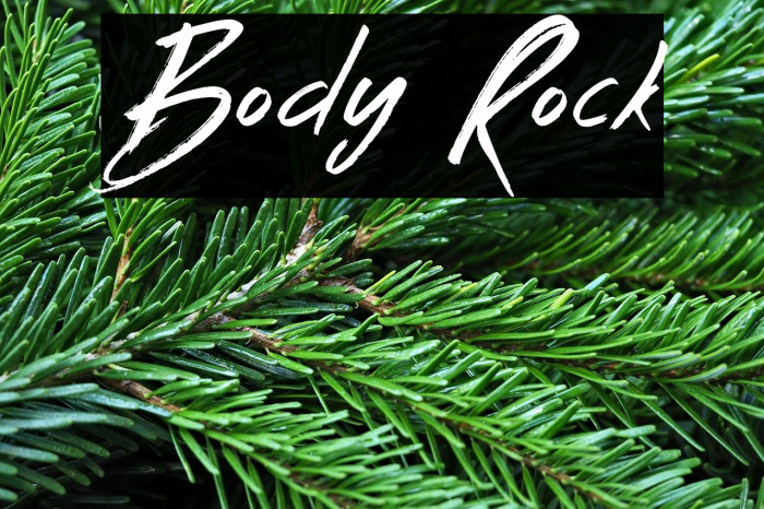 Body Rock Example 3