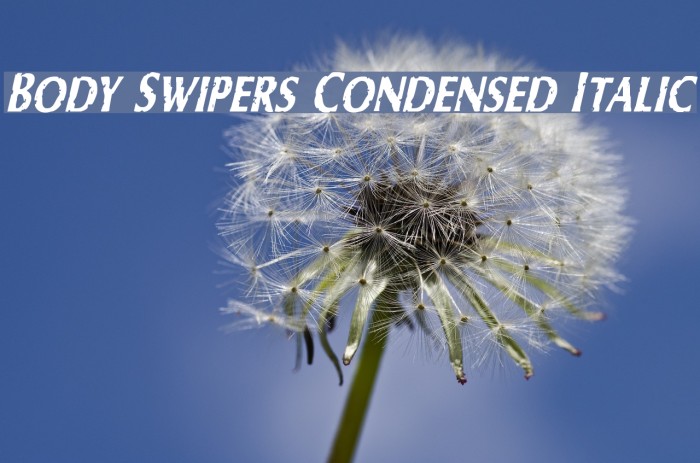 Body Swipers Condensed Italic Example 3