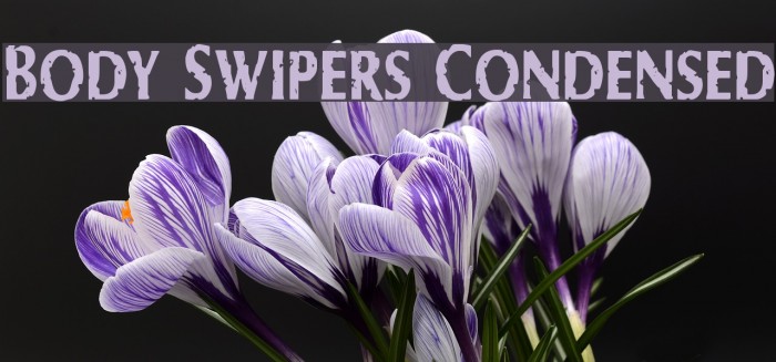 Body Swipers Condensed Font examples