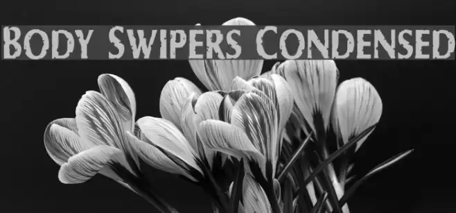 Body Swipers Condensed Font examples