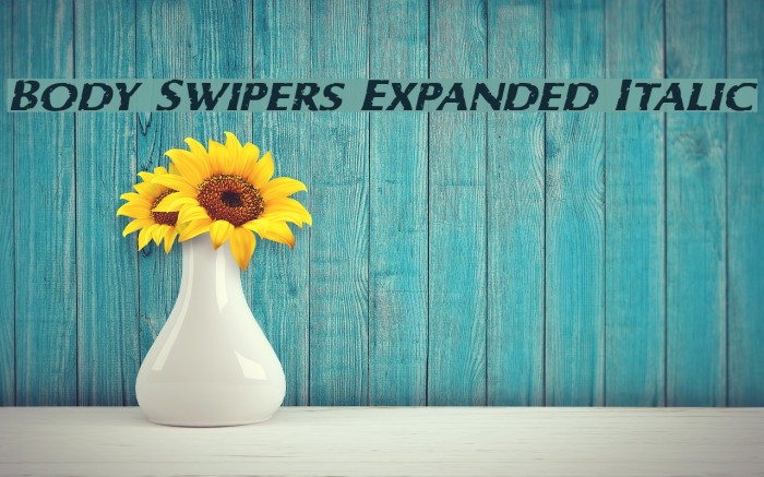 Body Swipers Expanded Italic Font examples