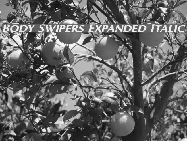 Body Swipers Expanded Italic Font examples