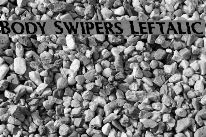 Body Swipers Leftalic Font examples