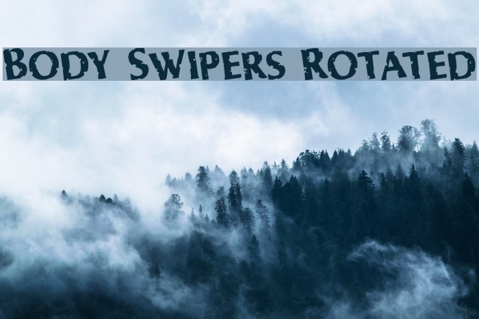 Body Swipers Rotated Font examples