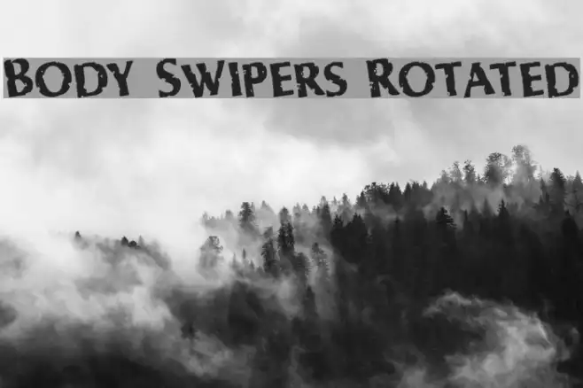 Body Swipers Rotated Example 2