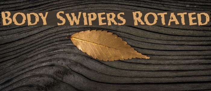 Body Swipers Rotated Font examples