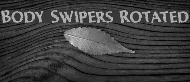 Body Swipers Rotated Example 3