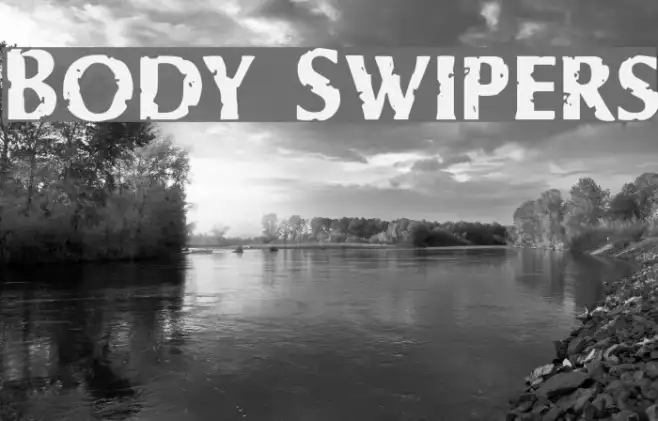 Body Swipers Example 2