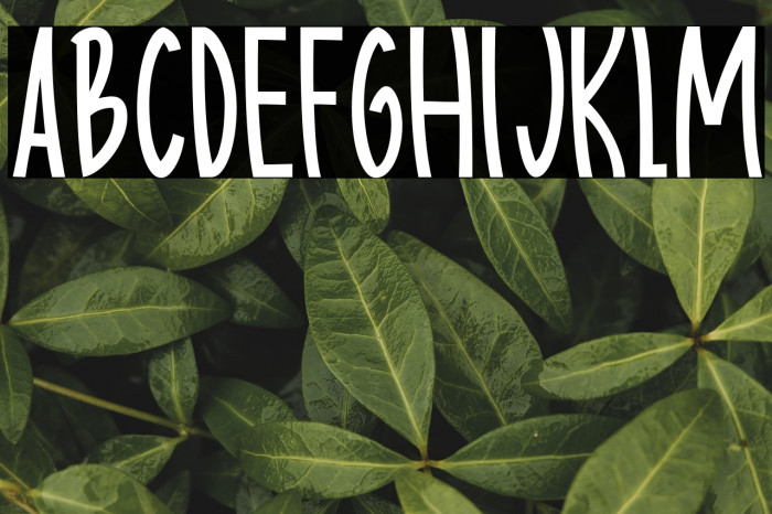 Body charms Regular Example 2