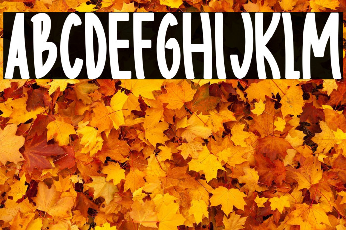 Body charms bold Regular Example 2