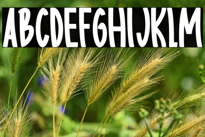 Body charms bold Regular Example 3