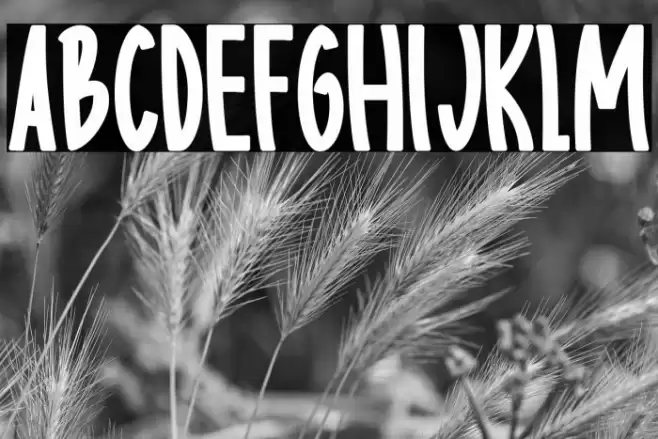 Body charms bold Regular Font examples