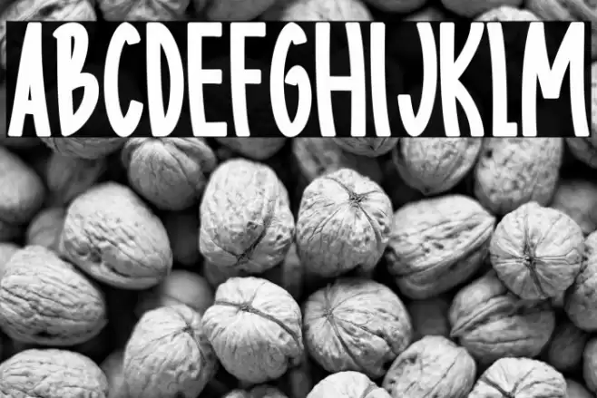 Body charms bold Regular Font examples