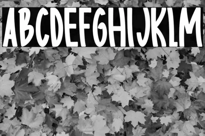 Body charms bold Regular Font examples