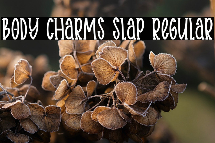 Body charms slap Regular Example 3