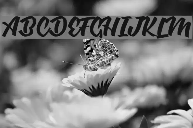 Body&Soul personal Use  Font examples